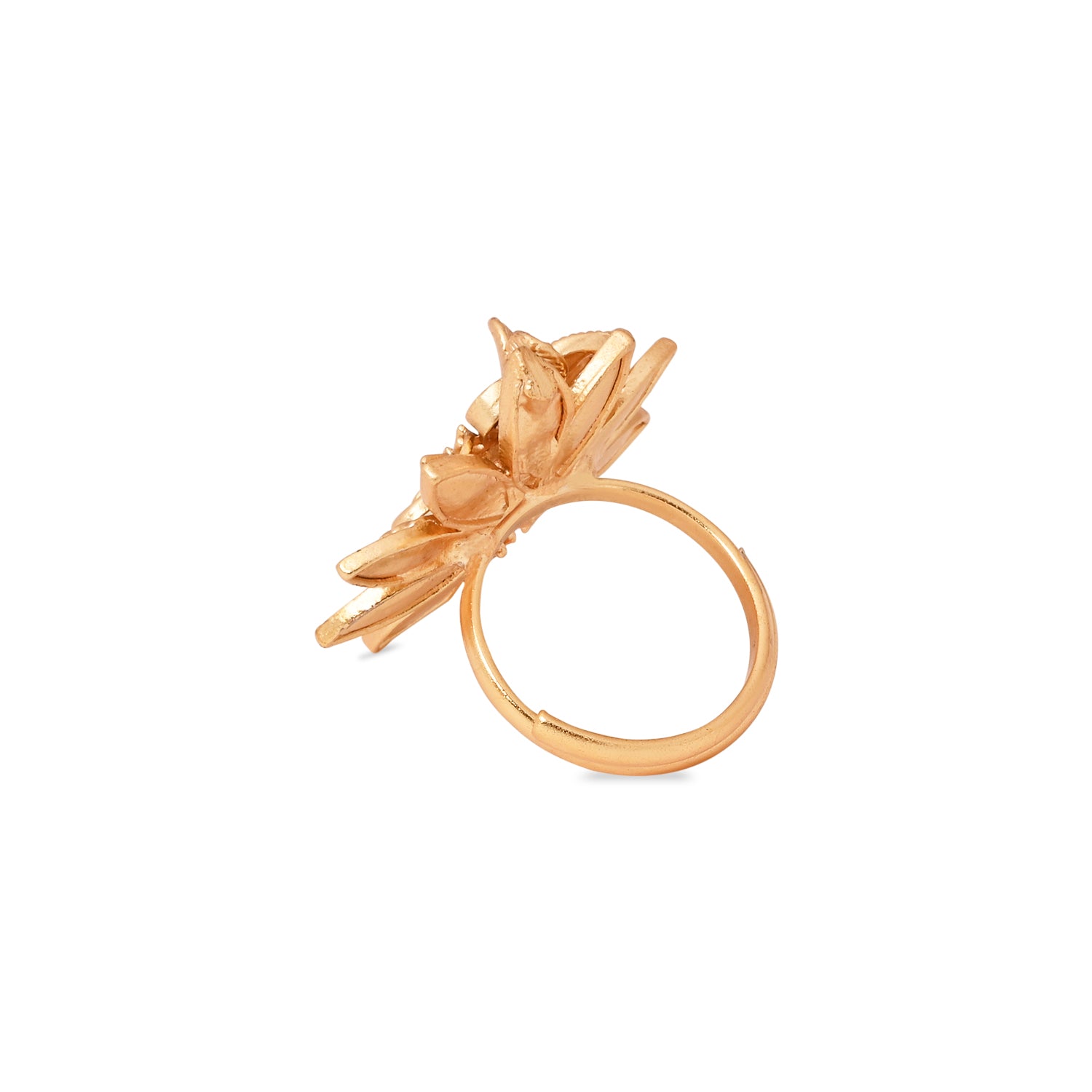 Harsha Ring
