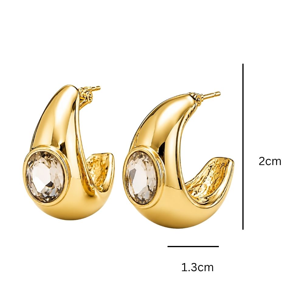 Adsila- Crystal Embellished Sculptural Hoop Earrings