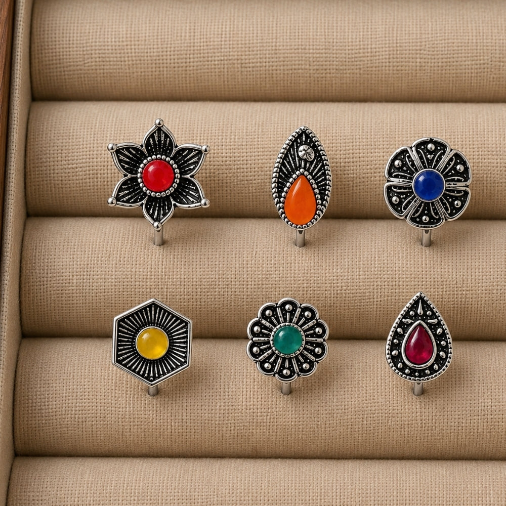 Tripura- Set of 6 Multicolour Oxidised Nose Pins