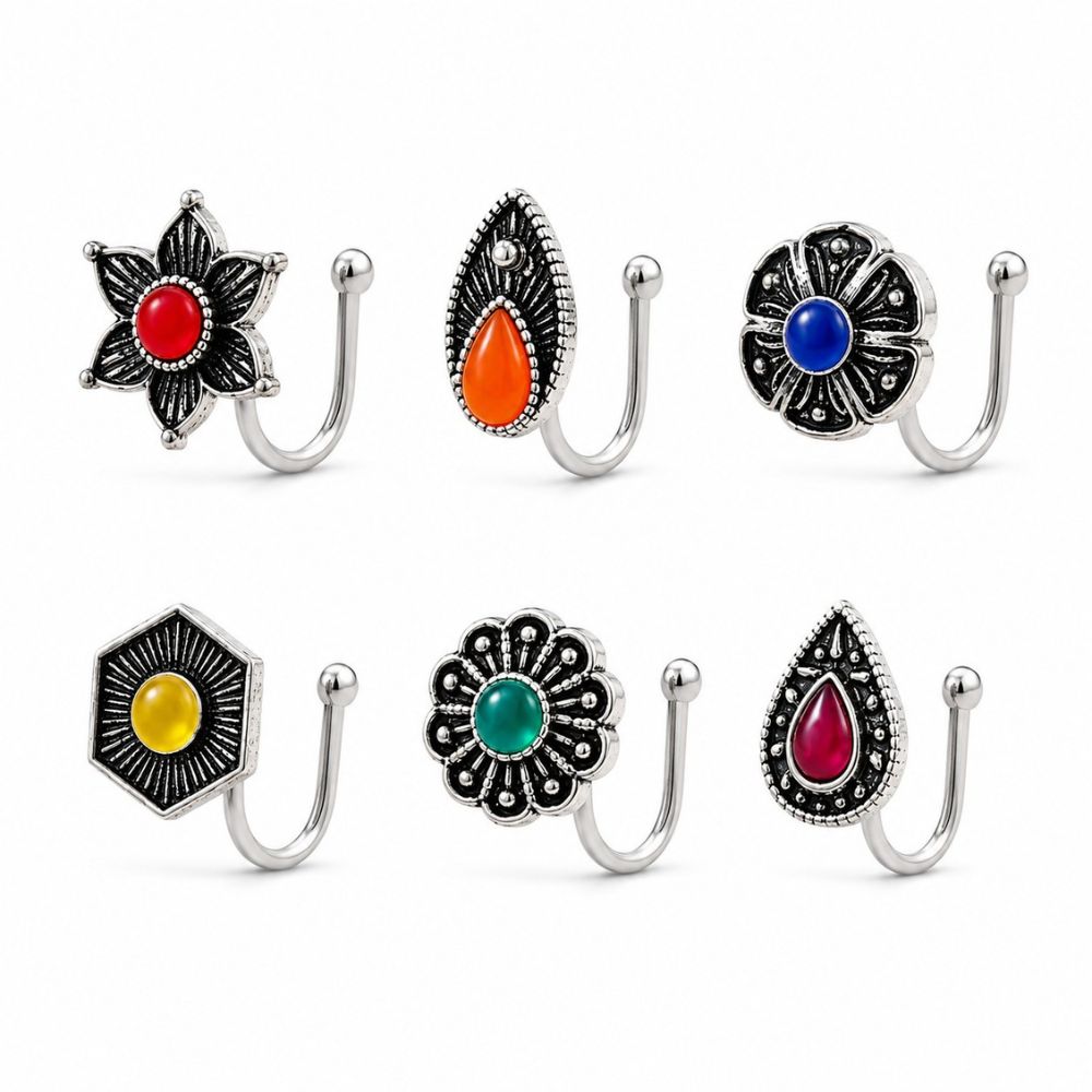 Tripura- Set of 6 Multicolour Oxidised Nose Pins