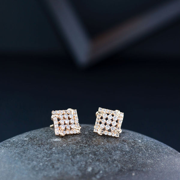 Birva Stud Earrings