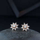 Aadarsha Stud Earrings