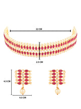 Adishri Pink necklace set .