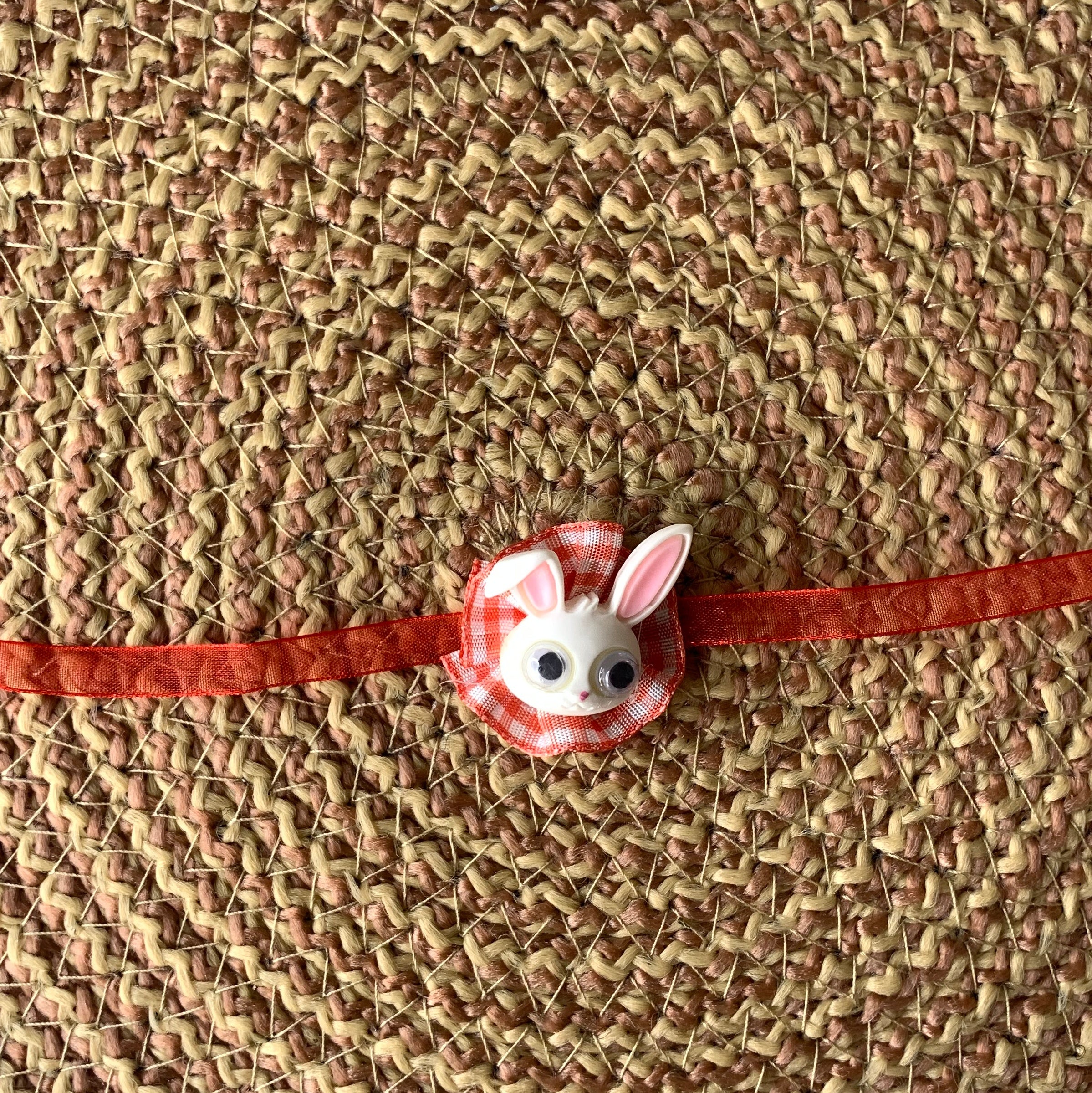 Adorable Kid's Bani Rabbit Cartoon character Rakhi